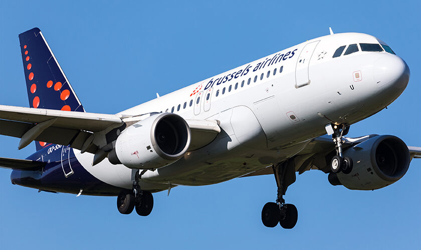 Un avion de Brussels Airlines, un Airbus A319, heurte un oiseau en vol et est contraint de se dérouter vers Lyon